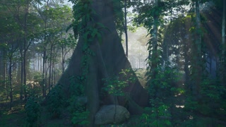 Nepal jungle with deep fog