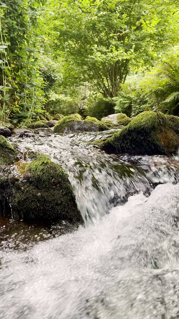 bach, stream, rocks