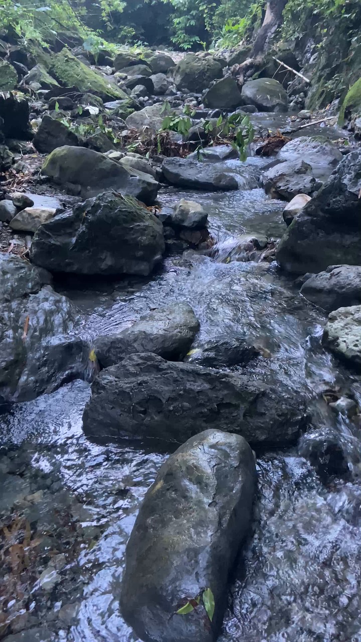 river, stream, brook