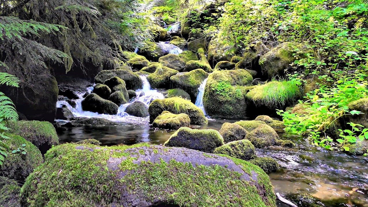 river, stream, creek