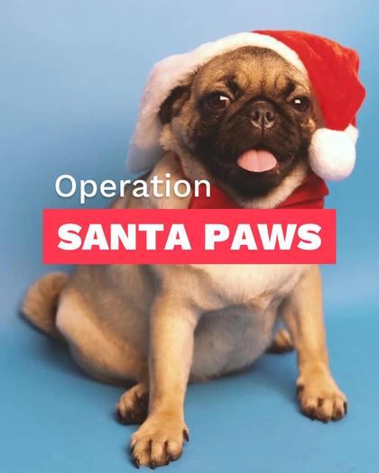 Operation Santa Paws Month