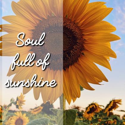 Sunflower Quote