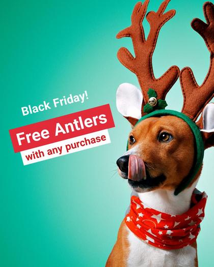 Black Friday - Pets