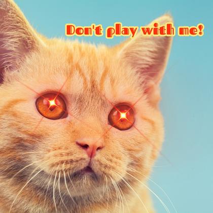 Laser Eye Cat Meme