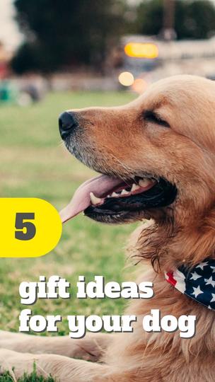 Gift Ideas for Your Dog