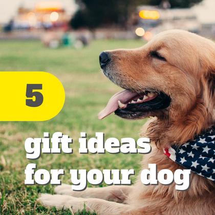 Gift Ideas for Your Dog