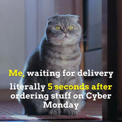 Cyber Monday Delivery Offer