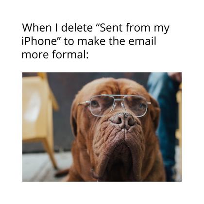 Email Meme